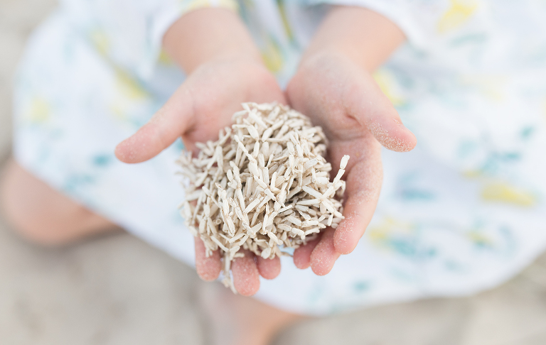 seaweed in a young girls hand